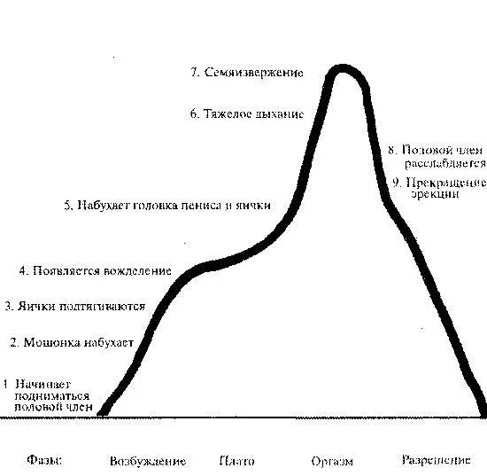 лишь одной функции сексуальной стимуляции Другие исследователи - фото 4