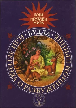 Татьяна Сергеева Будда, или Легенда о Разбуженном принце обложка книги