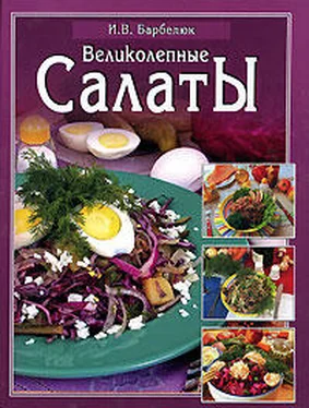 Ирина Барбелюк Салаты обложка книги