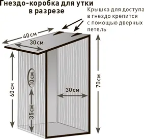 Проект 35 Сделай каждый прием пищи более полезным 1 Добавь немного зелени в - фото 122