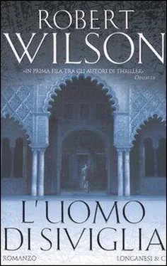 Robert Wilson L'uomo di Siviglia обложка книги