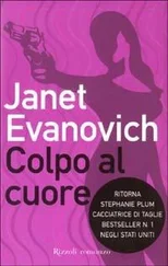 Janet Evanovich - Colpo al cuore