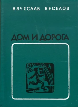 Вячеслав Веселов Дом и дорога обложка книги