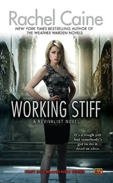 Rachel Caine Working Stiff обложка книги