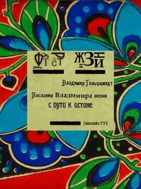 Владимир Гольцшмидт Послания Владимира жизни с пути к истине обложка книги