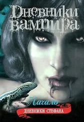 Лиза Смит - Начало