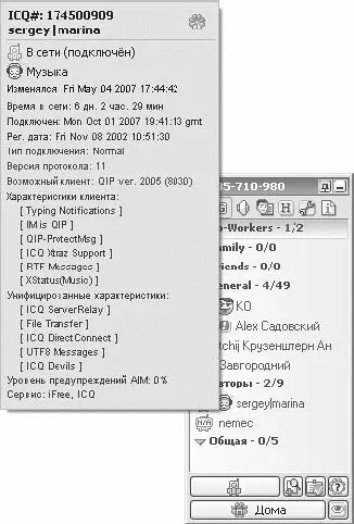 Рис 65 Дополнительная информация о контакте Для QIP существует большое - фото 124