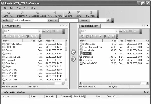 Рис 74 Окно Ipswitch WSFTP Professional В отличие от других программ этого - фото 131