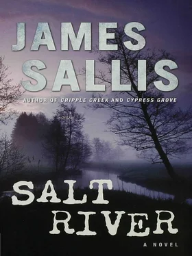 James Sallis Salt River