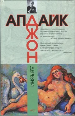 Джон Апдайк Деревни обложка книги