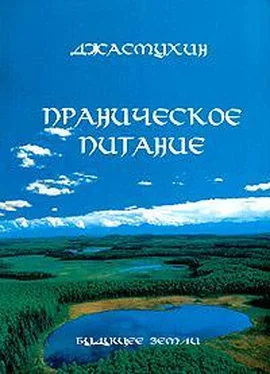 Джасмухин Праническое питание обложка книги