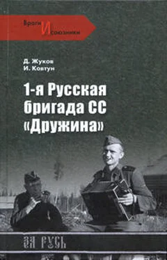 Дмитрий Жуков 1-я русская бригада СС «Дружина» обложка книги