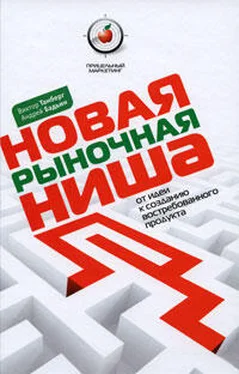 Андрей Бадьин Новая рыночная ниша. От идеи к созданию нового востребованного продукта обложка книги