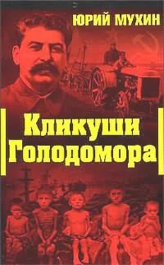 Юрий Мухин Кликуши голодомора обложка книги