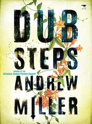 Эндрю Миллер (ЮАР) - Dub Steps