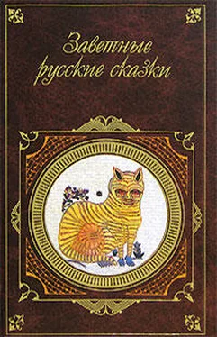 Александр Афанасьев Заветные русские сказки обложка книги