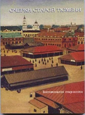Лев Боярский Очерки старой Тюмени обложка книги
