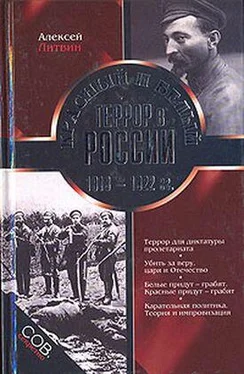 Алексей Литвин Красный и белый террор в России. 1918–1922 гг. обложка книги