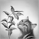 CHAPTER 25 The daylight grew stronger as the cats headed back through the - фото 27