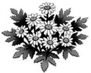 The medicine cats are all baffled by the current fever It is different than - фото 32