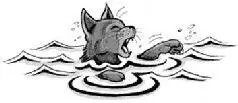 rocks Any cat that gets safely out of the water in this manner automatically - фото 34