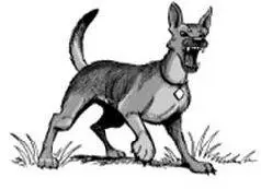 The dog is really just a big bully Its happy to pick on the cats as a mean - фото 38