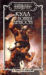 Илья Рошаль - Долина тигров