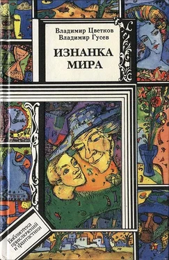 Владимир Цветков Изнанка мира обложка книги