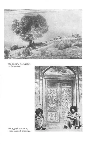 Бируни - фото 1