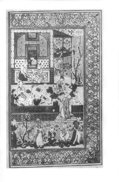 Бируни - фото 7