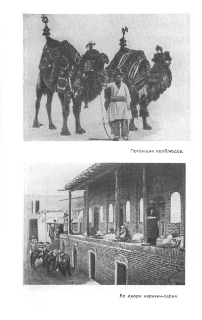 Часть вторая НЕБО И ЗЕМЛЯ Глава I Узнав об убийстве хорезмшаха Махмуд решил - фото 16