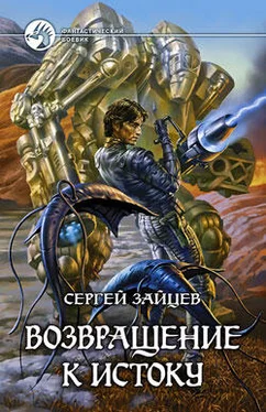 Сергей Зайцев Возвращение к истоку обложка книги