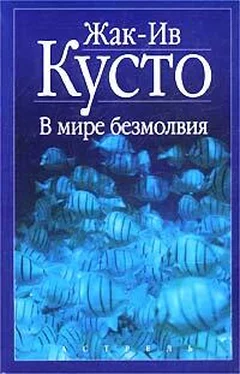 Жак-Ив Кусто В мире безмолвия обложка книги