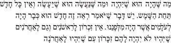 What has been is what will be and what has been done is what will be done - фото 19