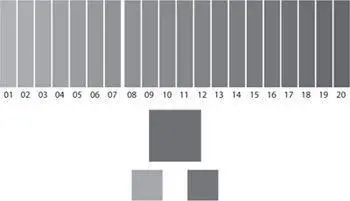 For each set the colors were chosen from among twenty shades of blue As was - фото 63