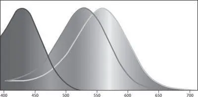 The normalized sensitivity of the shortwave middlewave and longwave - фото 70