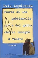 Luis Sepulveda - Storia di una gabbianella e del gatto che le insegnò a volare