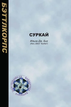 Ильза Бик Суркай обложка книги