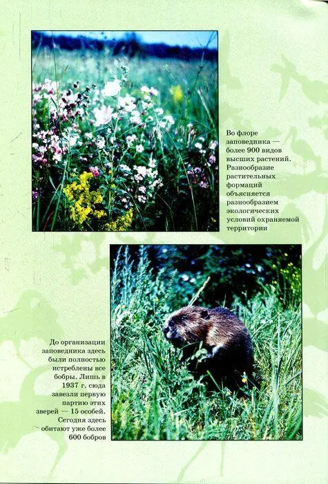 Всемирное сафари - фото 10