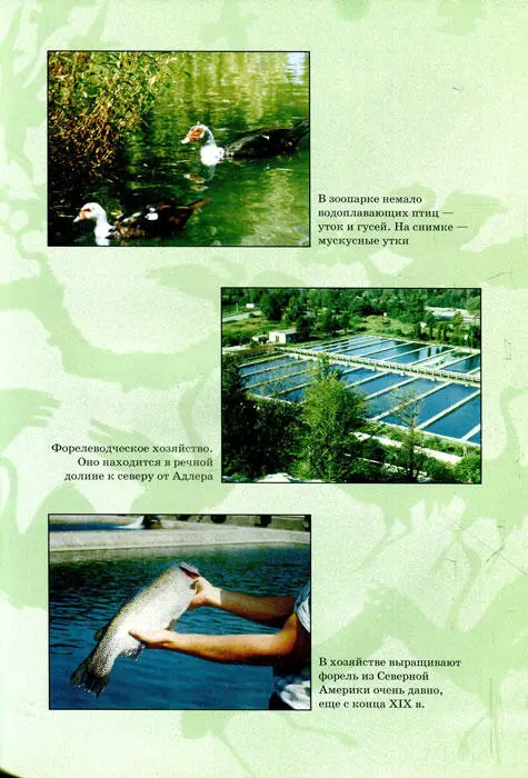 Всемирное сафари - фото 21