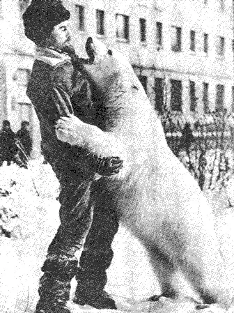 Юрий Ледин с медведицей Айкой И вот месячный медвежонок в Норильске в - фото 52