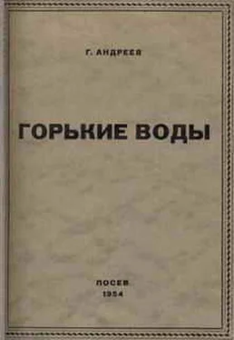 Геннадий Андреев Под знойным небом обложка книги