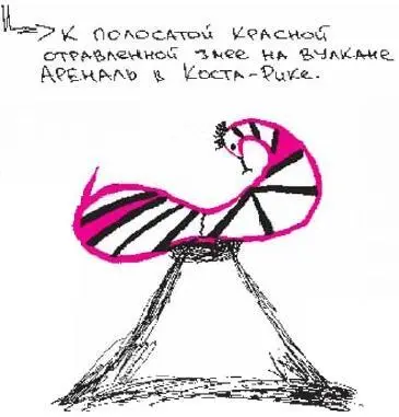 23 апреля вам 6 лет вы изобретаете газировку из сифона сифон падает и - фото 116