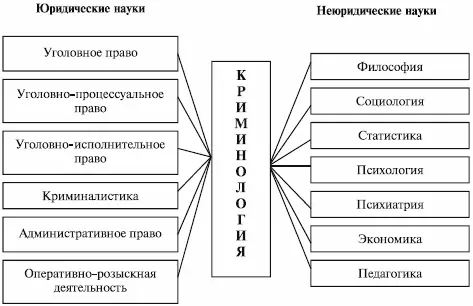 Рис 1 Междисциплинарные связи криминологии Разумеется на рис 1 приведены не - фото 1