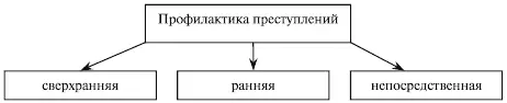 Рис 9 Виды профилактики преступлений Ранняя профилактика направлена на то - фото 10