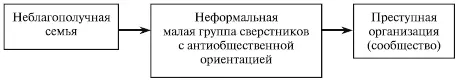 Рис 13 Эволюция жизни преступниковподростков Примерно 9095 преступлений - фото 14