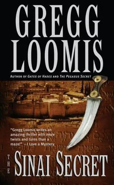 Gregg Loomis The Sinai Secret обложка книги