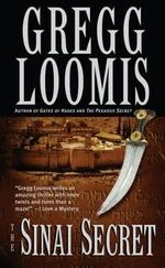 Gregg Loomis - The Sinai Secret