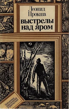 Леонид Прокша Выстрелы над яром обложка книги