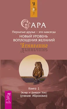 Эстер Хикс Сара. Книга 1. Пернатые друзья - это навсегда обложка книги